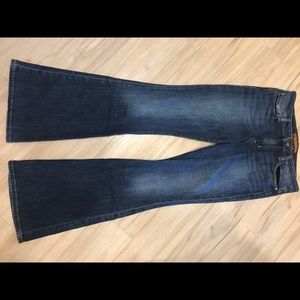 Joe's Jeans The Flare Visionaire